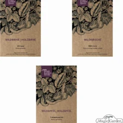 Alberi Da Frutto Selvatici - Set Di Semi -Offerta Economica Verdi Giard magic garden seeds alberi da frutto selvatici set di semi 1 set 1305498 it