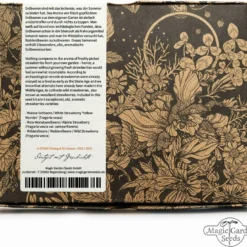 Antiche Varietà Di Fragole - Set Di Semi