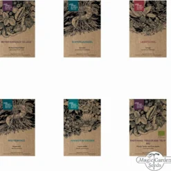 Classico Orto Contadino - Set Di Semi 13 Classico Orto Contadino - Set Di Semi -Offerta Economica Verdi Giard magic garden seeds classico orto contadino set di semi 1 set 1306103 it