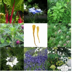 Classico Orto Contadino - Set Di Semi 15 Classico Orto Contadino - Set Di Semi -Offerta Economica Verdi Giard magic garden seeds classico orto contadino set di semi 1 set 1306110 it