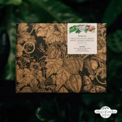 Colture Tropicali: Caffè, Banana, Frutto Della Passione, Riso E Tè - Set Di Semi 11 Colture Tropicali: Caffè, Banana, Frutto Della Passione, Riso E Tè - Set Di Semi -Offerta Economica Verdi Giard magic garden seeds colture tropicali caffe banana frutto della passione riso e te set di semi 1375577 it