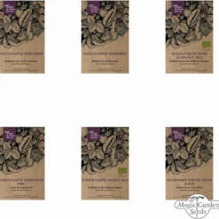 Deliziosi Pomodori Grandi - Set Di Semi -Offerta Economica Verdi Giard magic garden seeds deliziosi pomodori grandi set di semi 1 set 1307371 it