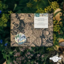 Erbe Da Cucina E Spezie Bio - Set Di Semi 11 Erbe Da Cucina E Spezie Bio - Set Di Semi -Offerta Economica Verdi Giard magic garden seeds erbe da cucina e spezie bio set di semi 1436704 it