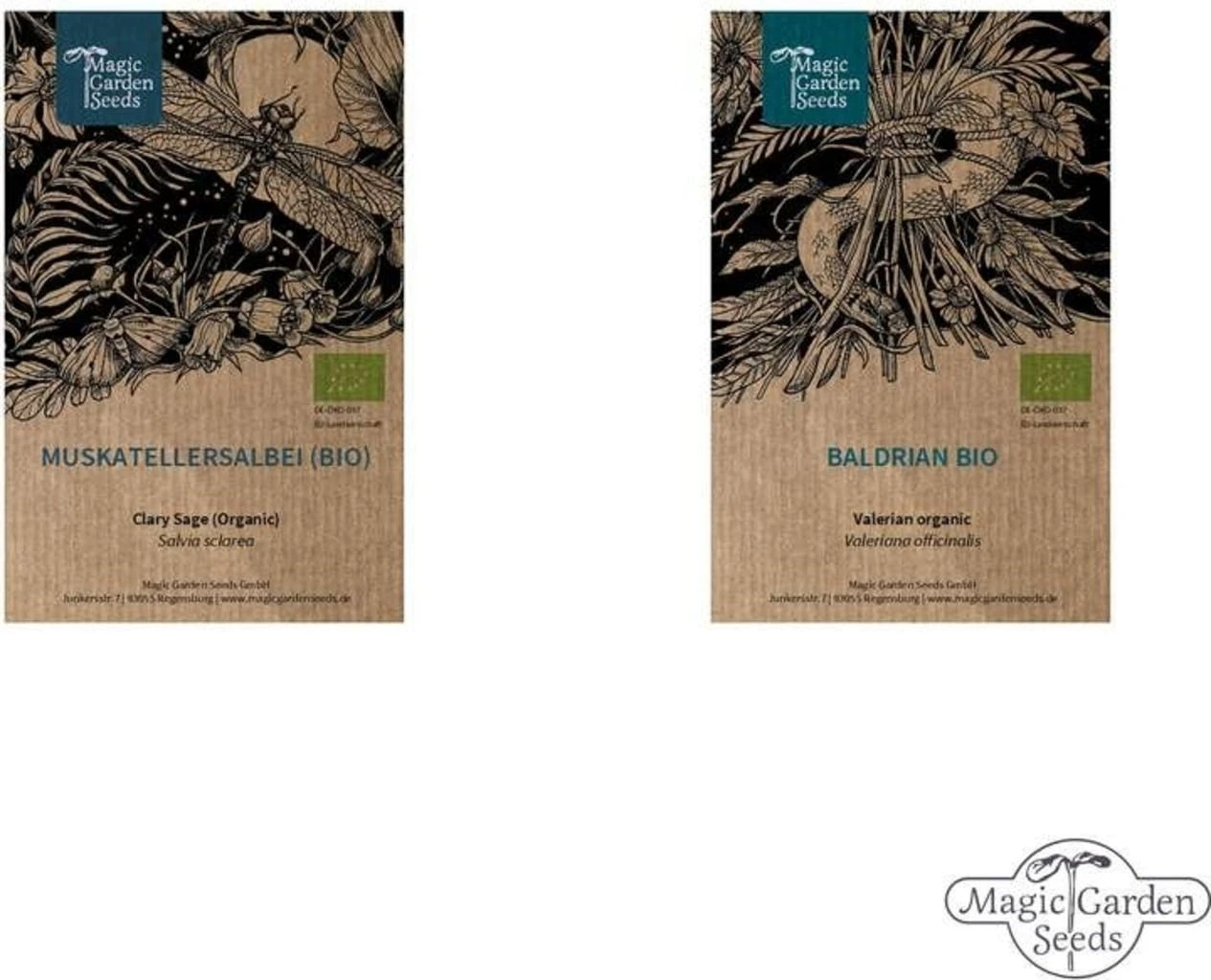 Erbe Di Gatto - Set Di Semi 2 Erbe Di Gatto - Set Di Semi - immagine 2