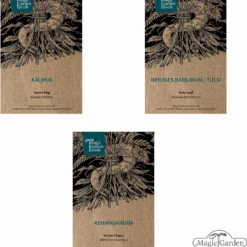 Erbe Medicinali Ayurvediche - Set Di Semi 15 Erbe Medicinali Ayurvediche - Set Di Semi -Offerta Economica Verdi Giard magic garden seeds erbe medicinali ayurvediche set di semi 1 set 1303359 it