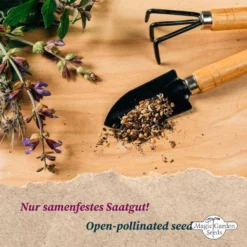 Erbe Medicinali Di Montagna - Set Di Semi 13 Erbe Medicinali Di Montagna - Set Di Semi -Offerta Economica Verdi Giard magic garden seeds erbe medicinali di montagna set di semi 1680198 it