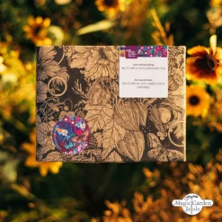 Fiori Di Campo Bio Per Amanti Dei Fiori - Set Di Semi -Offerta Economica Verdi Giard magic garden seeds fiori di campo bio per amanti dei fiori set di semi 1436806 it