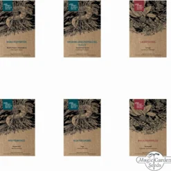 Giardino Del Monastero Di Hildegard Von Bingen - Set Di Semi