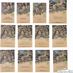 Il Meraviglioso Mondo Delle Erbe - Set Per Moltiplicazione Di Semi Bio