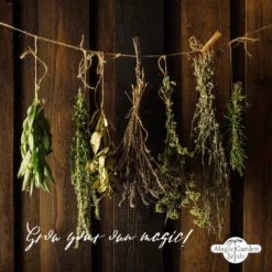 Il Meraviglioso Mondo Delle Erbe - Set Per Moltiplicazione Di Semi Bio -Offerta Economica Verdi Giard magic garden seeds il meraviglioso mondo delle erbe set per moltiplicazione di semi bio 1436062 it