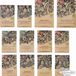 Le Gioie Del Giardinaggio Urbano - Set Bio Per Moltiplicazione Di Semi 23 Le Gioie Del Giardinaggio Urbano - Set Bio Per Moltiplicazione Di Semi -Offerta Economica Verdi Giard magic garden seeds le gioie del giardinaggio urbano set bio per moltiplicazione di semi 1 set 1435718 it