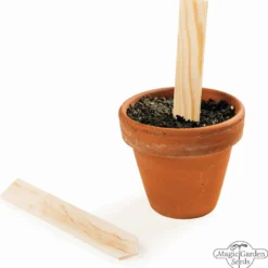 Le Gioie Del Giardinaggio Urbano - Set Bio Per Moltiplicazione Di Semi 15 Le Gioie Del Giardinaggio Urbano - Set Bio Per Moltiplicazione Di Semi -Offerta Economica Verdi Giard magic garden seeds le gioie del giardinaggio urbano set bio per moltiplicazione di semi 1435792 it