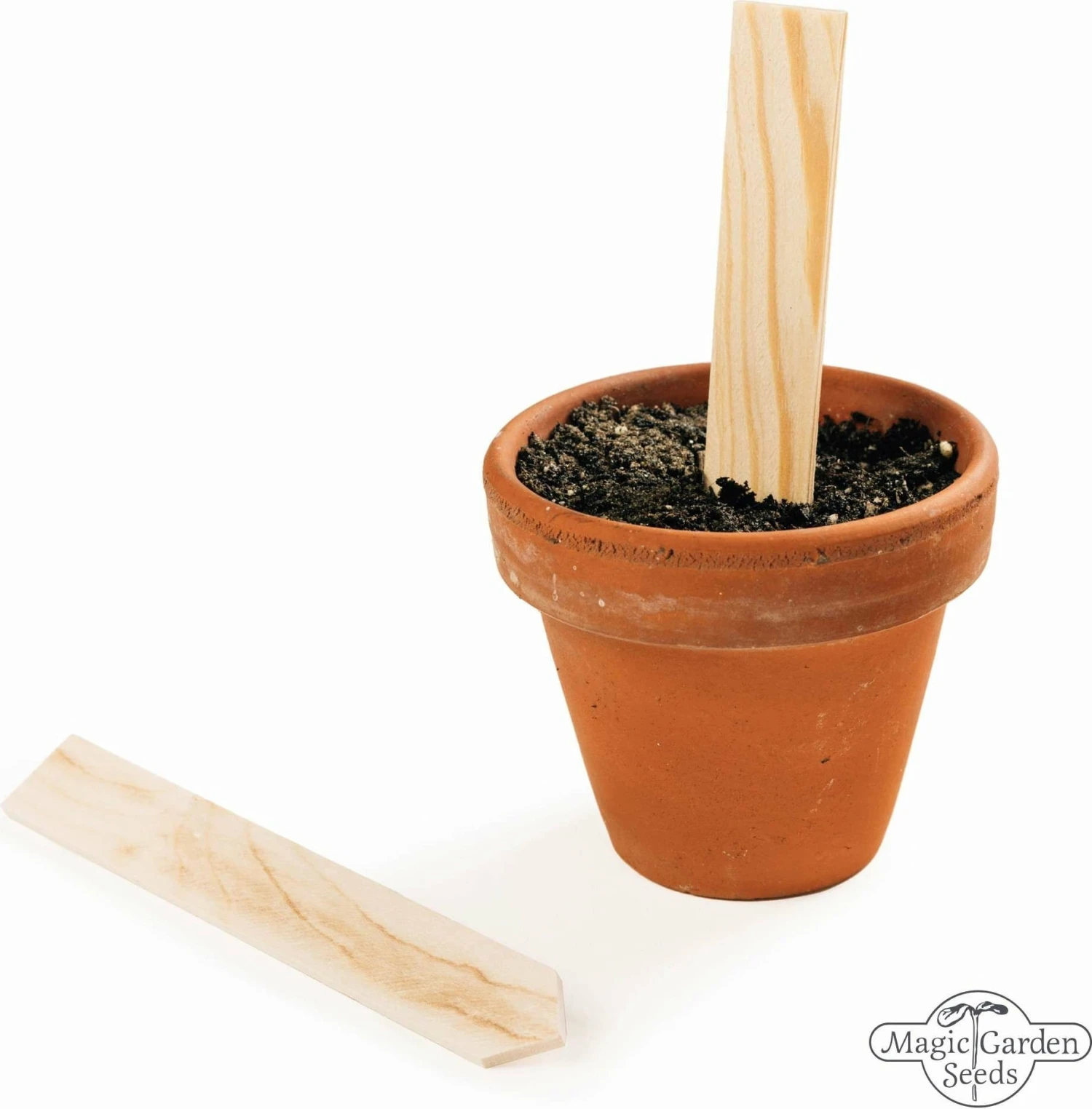 Le Gioie Del Giardinaggio Urbano - Set Bio Per Moltiplicazione Di Semi 3 Le Gioie Del Giardinaggio Urbano - Set Bio Per Moltiplicazione Di Semi - immagine 3