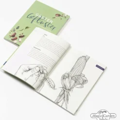 Le Gioie Del Giardinaggio Urbano - Set Bio Per Moltiplicazione Di Semi 24 Le Gioie Del Giardinaggio Urbano - Set Bio Per Moltiplicazione Di Semi -Offerta Economica Verdi Giard magic garden seeds le gioie del giardinaggio urbano set bio per moltiplicazione di semi 1435799 it