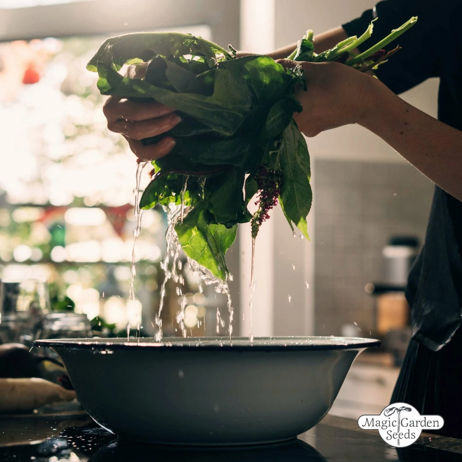 Le Gioie Del Giardinaggio Urbano - Set Bio Per Moltiplicazione Di Semi 4 Le Gioie Del Giardinaggio Urbano - Set Bio Per Moltiplicazione Di Semi - immagine 4