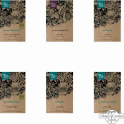 Miracolo Di Fiori - Set Di Semi 14 Miracolo Di Fiori - Set Di Semi -Offerta Economica Verdi Giard magic garden seeds miracolo di fiori set di semi 1 set 1304984 it