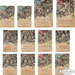 Orto Colorato Per Autosufficienza - Set Bio Per Moltiplicazione Semi