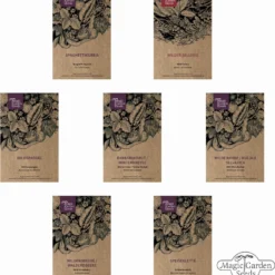Paleo - Set Di Semi 13 Paleo - Set Di Semi -Offerta Economica Verdi Giard magic garden seeds paleo set di semi 1 set 1306528 it