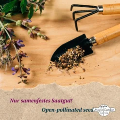 Paleo - Set Di Semi 11 Paleo - Set Di Semi -Offerta Economica Verdi Giard magic garden seeds paleo set di semi 1 set 1306556 it