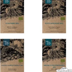 Piante Bio Tradizionali Energetiche E Protettive - Set Di Semi 10 Piante Bio Tradizionali Energetiche E Protettive - Set Di Semi -Offerta Economica Verdi Giard magic garden seeds piante bio tradizionali energetiche e protettive set di semi 1680144 it