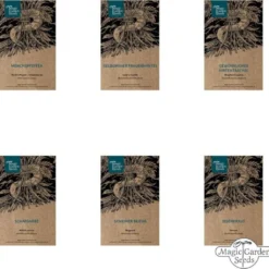 Piante Medicinali Per Il Benessere Femminile - Set Di Semi -Offerta Economica Verdi Giard magic garden seeds piante medicinali per il benessere femminile set di semi 1663522 it