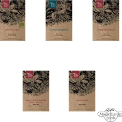 Piante Mellifere - Set Di Semi 11 Piante Mellifere - Set Di Semi -Offerta Economica Verdi Giard magic garden seeds piante mellifere set di semi 1663527 it