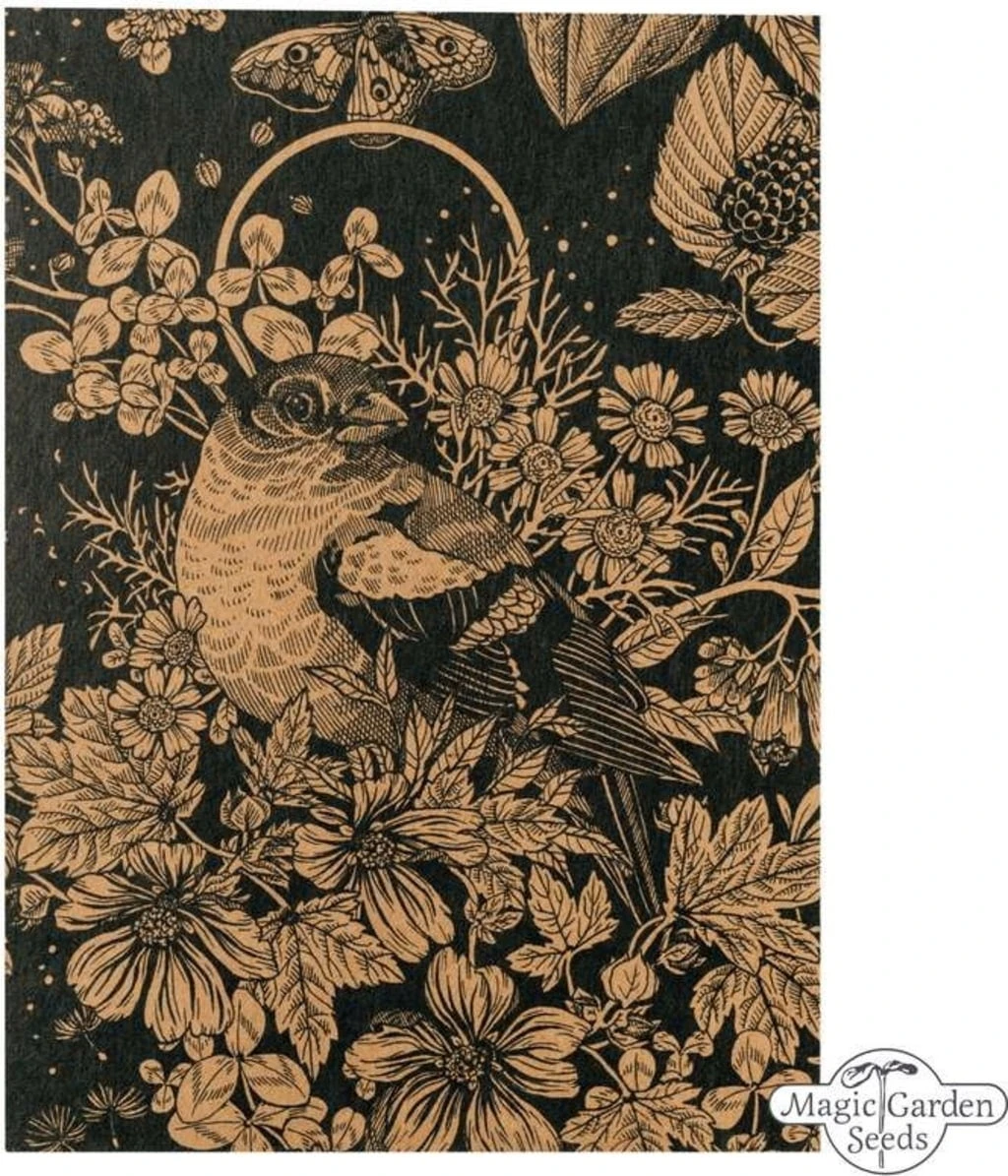 Piante Officinali E Da Incenso Bio - Set Di Semi 2 Piante Officinali E Da Incenso Bio - Set Di Semi - immagine 2