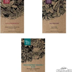 Piante Rampicanti Fiorite - Set Di Semi -Offerta Economica Verdi Giard magic garden seeds piante rampicanti fiorite set di semi 1663536 it