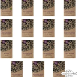 Rarità Di Ortaggi Italiani - Set Di Semi, Set Di Semi 8 Rarità Di Ortaggi Italiani - Set Di Semi, Set Di Semi -Offerta Economica Verdi Giard magic garden seeds rarita di ortaggi italiani set di semi froekit 1678080 it