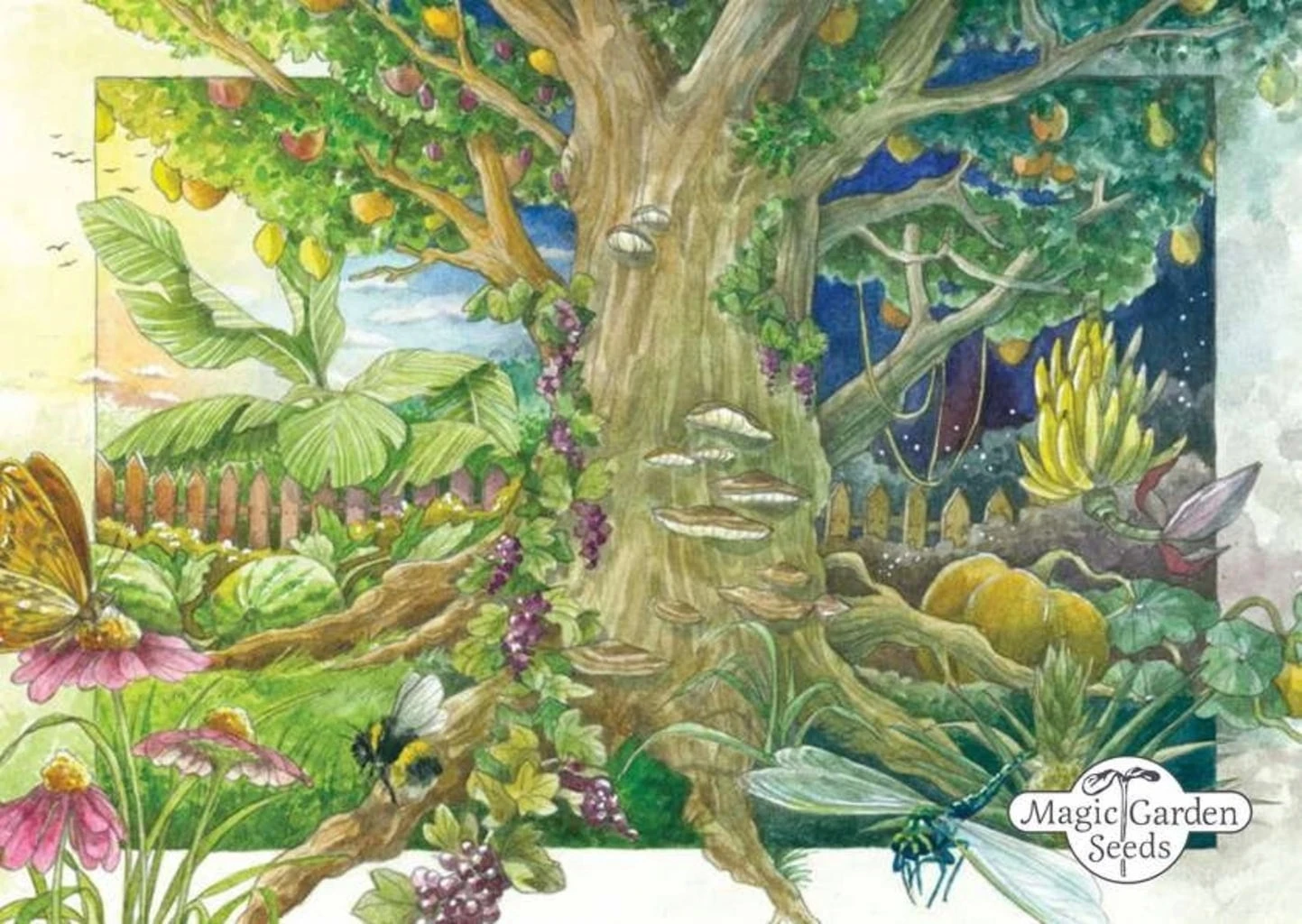 Rarità Di Ortaggi Italiani - Set Di Semi, Set Di Semi 2 Rarità Di Ortaggi Italiani - Set Di Semi, Set Di Semi - immagine 2