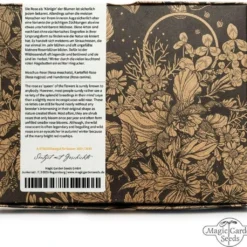 Rose Selvatiche Profumate - Set Di Semi 12 Rose Selvatiche Profumate - Set Di Semi -Offerta Economica Verdi Giard magic garden seeds rose selvatiche profumate set di semi 1680118 it