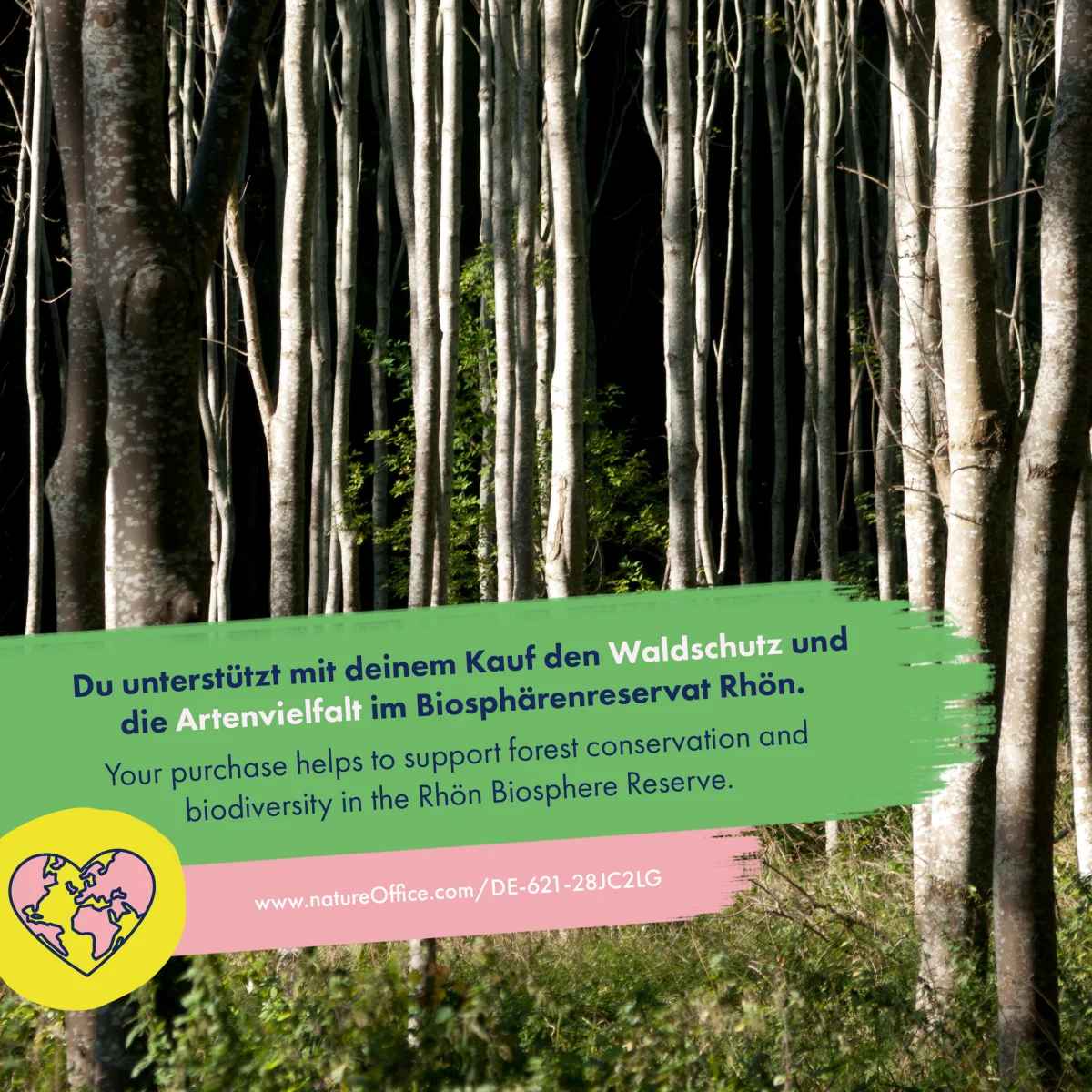 Semi Di Erbe - Aromatiche E Deliziose 2 Semi Di Erbe - Aromatiche E Deliziose - immagine 2