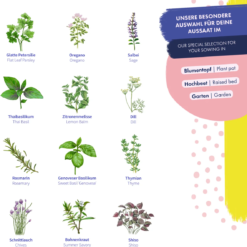 Semi Di Erbe - Aromatiche E Deliziose 12 Semi Di Erbe - Aromatiche E Deliziose -Offerta Economica Verdi Giard magic garden seeds semi di erbe aromatiche e deliziose 1494797 it