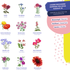 Semi Di Fiori - Selvatici E Colorati -Offerta Economica Verdi Giard magic garden seeds semi di fiori selvatici e colorati 1494769 it