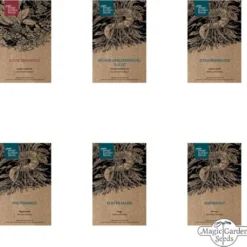 Tisane Fatte In Casa - Set Di Semi 20 Tisane Fatte In Casa - Set Di Semi -Offerta Economica Verdi Giard magic garden seeds tisane fatte in casa set di semi 1663516 it