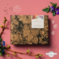 Trionfo Di Fiori Bio - Set Di Semi 10 Trionfo Di Fiori Bio - Set Di Semi -Offerta Economica Verdi Giard magic garden seeds trionfo di fiori bio set di semi 1438678 it