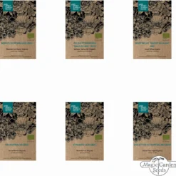 Trionfo Di Fiori Bio - Set Di Semi 15 Trionfo Di Fiori Bio - Set Di Semi -Offerta Economica Verdi Giard magic garden seeds trionfo di fiori bio set di semi 1438685 it