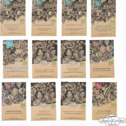 Tripudio Di Fiori Selvatici - Set Bio Per Moltiplicazione Semi 18 Tripudio Di Fiori Selvatici - Set Bio Per Moltiplicazione Semi -Offerta Economica Verdi Giard magic garden seeds tripudio di fiori selvatici set bio per moltiplicazione semi 1436451 it