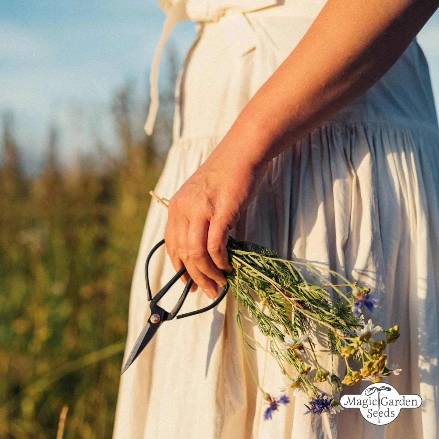 Tripudio Di Fiori Selvatici - Set Bio Per Moltiplicazione Semi 10 Tripudio Di Fiori Selvatici - Set Bio Per Moltiplicazione Semi - immagine 10