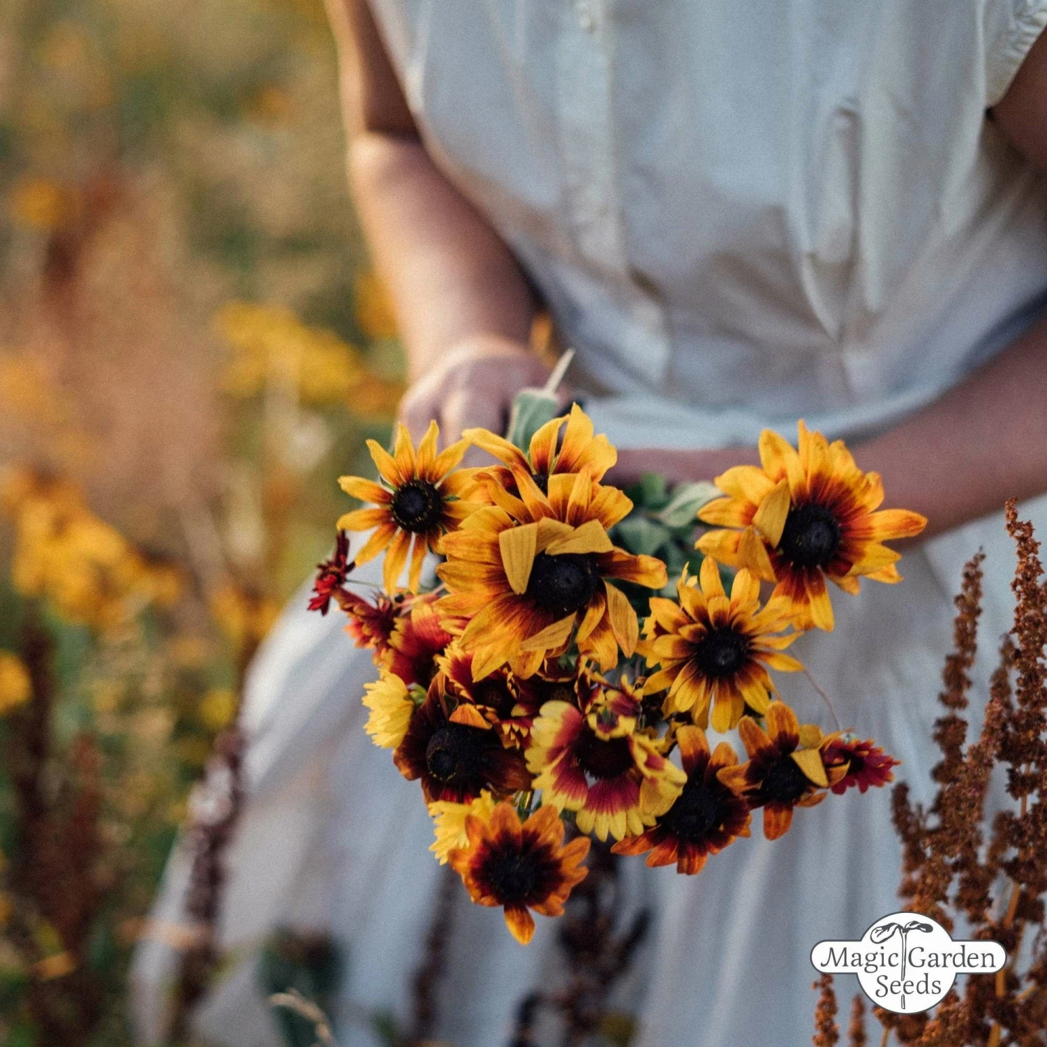 Tripudio Di Fiori Selvatici - Set Bio Per Moltiplicazione Semi 2 Tripudio Di Fiori Selvatici - Set Bio Per Moltiplicazione Semi - immagine 2