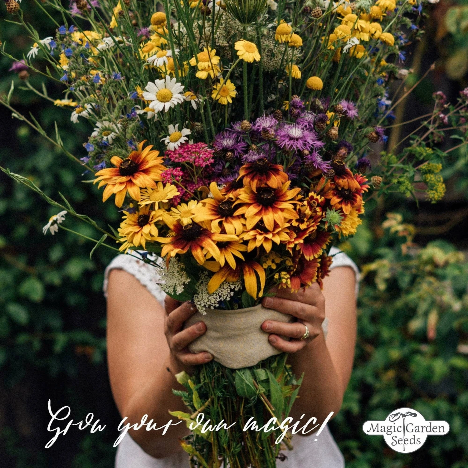 Tripudio Di Fiori Selvatici - Set Bio Per Moltiplicazione Semi 14 Tripudio Di Fiori Selvatici - Set Bio Per Moltiplicazione Semi - immagine 14