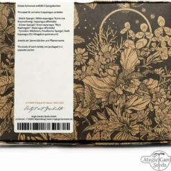 Varietà Di Asparagi - Set Di Semi 10 Varietà Di Asparagi - Set Di Semi -Offerta Economica Verdi Giard magic garden seeds varieta di asparagi set di semi 1 set 1306192 it