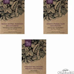 Varietà Di Asparagi - Set Di Semi 13 Varietà Di Asparagi - Set Di Semi -Offerta Economica Verdi Giard magic garden seeds varieta di asparagi set di semi 1 set 1306199 it