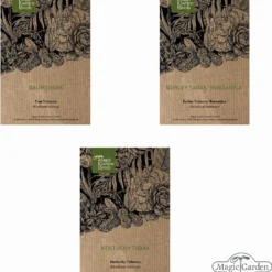 Varietà Di Tabacco - Set Di Semi