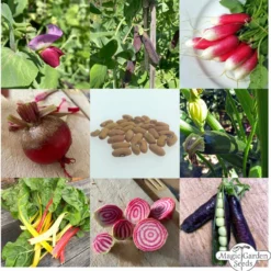 Verdure Bio Per Principianti - Set Di Semi Per Balcone E Giardino