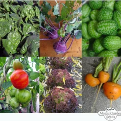 Verdure Per Balcone - Set Di Semi 13 Verdure Per Balcone - Set Di Semi -Offerta Economica Verdi Giard magic garden seeds verdure per balcone set di semi 1 set 1307504 it