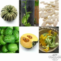 Verdure Rampicanti, Set Di Semi