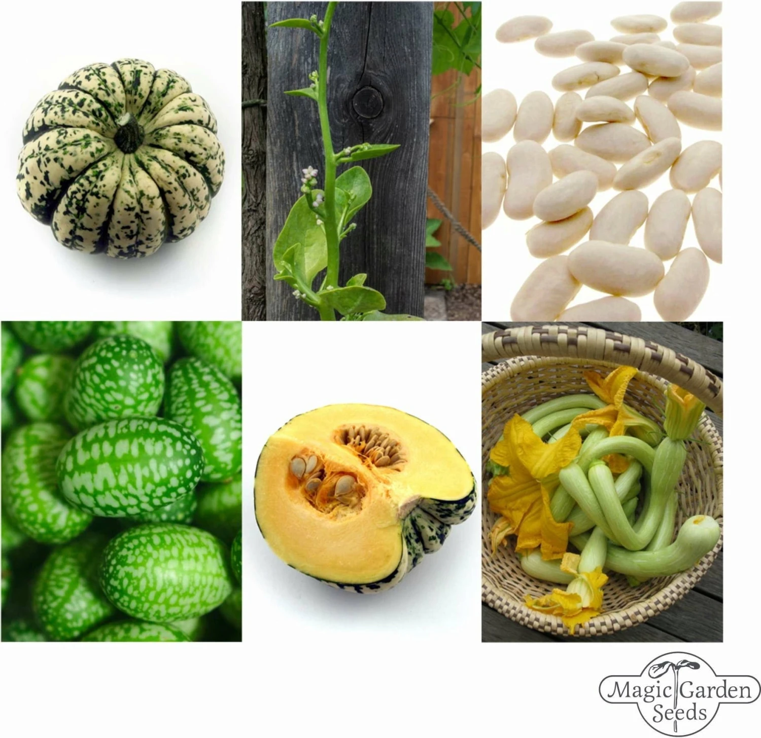 Verdure Rampicanti, Set Di Semi 1 Verdure Rampicanti, Set Di Semi