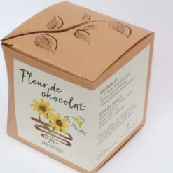 Set Di Coltivazione Fleur De Chocolat