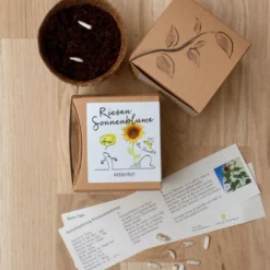 Set Di Coltivazione Girasole Gigante -Offerta Economica Verdi Giard naturkraftwerk set di coltivazione girasole gigante 1 st 1667821 it